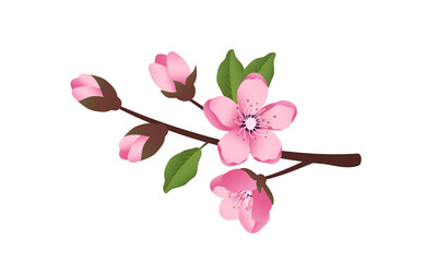Cute Sakura flowers icon set
