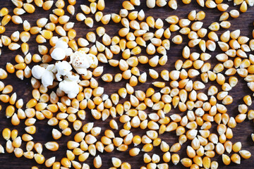 Group of yellow raw corn kernels sweet corn. Grain seeds ingredient lden maize kernel. Wooden table ripe popcorn background.