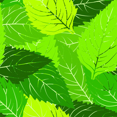 seamless  pattern green leaf. Seamless background with green leaf. Repeating texture.