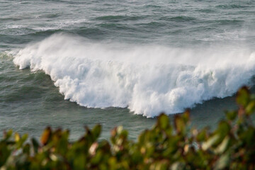 Rough Sea Wave Vegetation Coast