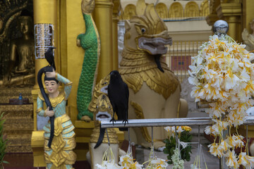 The Shwedagon pagoda the most famous landmark of Myanmar.  