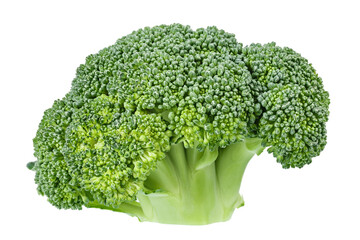 Fresh broccoli on a white isolated background.