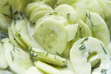 Creamy Cucumber Salad with cream (or yoghurt) and dill. - obrazy, fototapety, plakaty