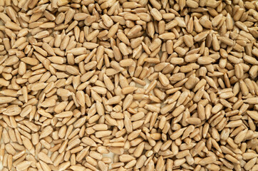 Peeled (dehulled) sunflower seeds texture.
