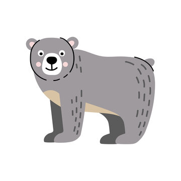 Funny and cute grey bear animal. Arctic and Antarctic polar bear in cartoon style. Flat vector illustration.