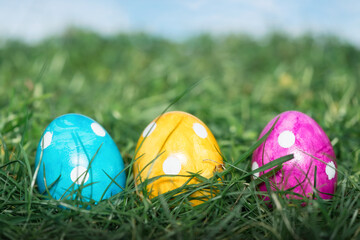 Easter eggs in spring grass, close up