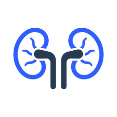 Human kidney icon