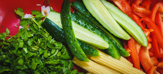 Cold vegetable snacks on a plate - cucumbers, tomatoes, pickled corn, dill, and onions