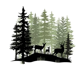 Poster Deer with antlers, doe, fawn posing in magic misty forest. Silhouettes illustration. Coniferous trees. © Anna