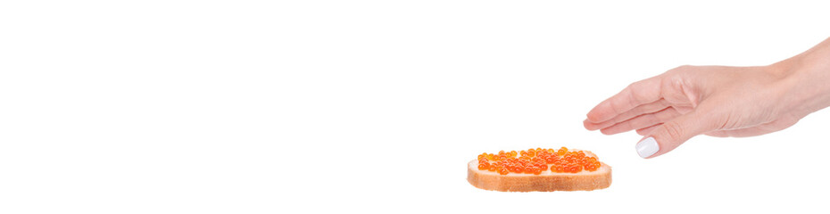 Hand with luxury red caviar on white bread, expensive healthy seafood, isolated on white background.