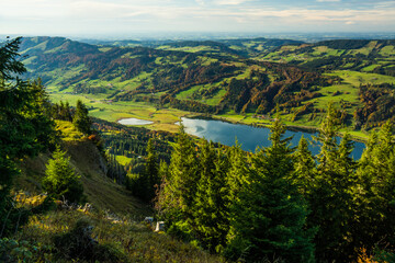 trees on hill with meadow and lake panorama