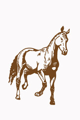 Graphical vintage horse ,sepia background,illustration