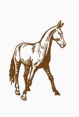 Graphical vintage horse ,sepia background,illustration