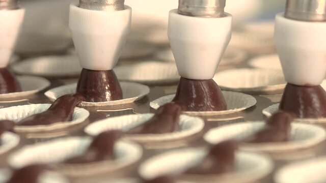 The production of delicious and colorful cakes is made in the factory. Making many kinds of cakes from chocolate to fruit, from hazelnut to pistachio, from cheese to coffee.