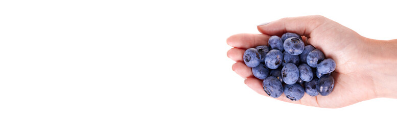 Hand with fresh raw blueberry, isolated on white background.