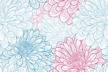 Beautiful floral abstract background with chrysanthemum flowers. 