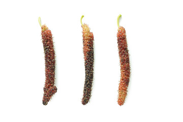 Taiwan mulberry fruits isolated on the white background