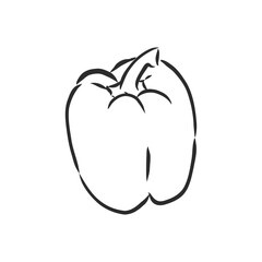 Sweet pepper. Vector hand drawn vegetables isolated on white background. bell pepper, vector sketch illustration