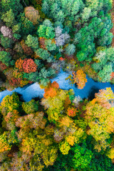 River and colorful forest in autumn, view from above