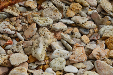 Macro. A lot of colorful and leaky pebbles on the seashore. close-up