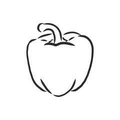 Sweet pepper. Vector hand drawn vegetables isolated on white background. bell pepper, vector sketch illustration