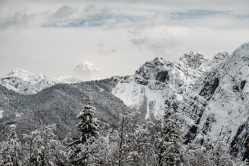Obraz premium Trekking after a snowfall in the Julian Alps, Friuli-Venezia Giulia, Italy