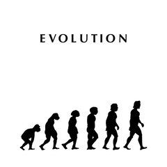 theory of evolution, vector illustration, for background, white backgrounD