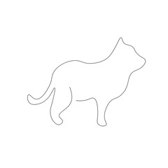 Cat animal on white background vector illustration