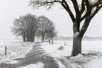 Country road with trees and bench in winter landscape