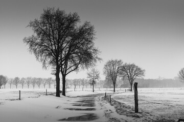 Country road in winter landscape with snow