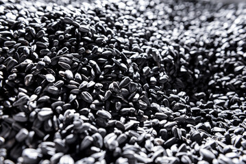 Roasted sunflower seeds equipment at modern factory