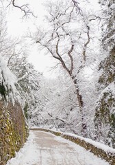 Path in a snowy park.