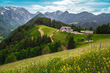 Naklejka na ściany i meble Logar valley view and mountains from the flowery slopes, Slovenia