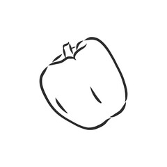 Sweet pepper. Vector hand drawn vegetables isolated on white background. bell pepper, vector sketch illustration