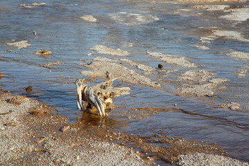 Lower geyser basin