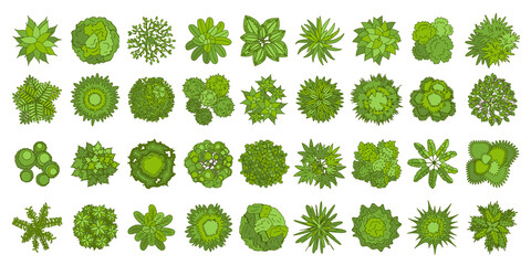 Trees top view. Different plants and trees vector set for architectural or landscape design. (View from above) Nature green spaces. - obrazy, fototapety, plakaty