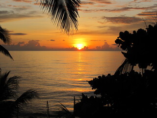 Tram Sonnenuntergang im Paradies