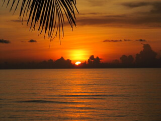 Tram Sonnenuntergang im Paradies
