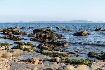 海岸から海を眺める