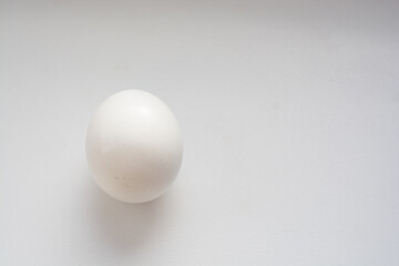 white chicken egg on white background
