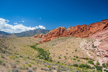 Fototapeta premium Red Rock Canyon National Park, Nevada, USA