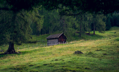 Fototapeta na wymiar Hay hut on the meadow in the foothills of the Alps