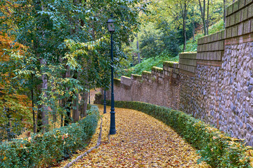 Calle llena de un manto de hojas en otoño con colores amarillos y verdes llegando alguno al naranja
