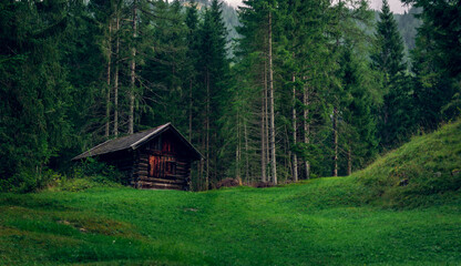 Hay hut on the meadow in the foothills of the Alps