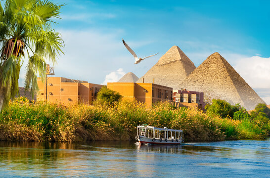 Pyramids near Nile River