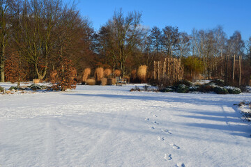 Footprints in first snow on a sunny day in an empty park in winter