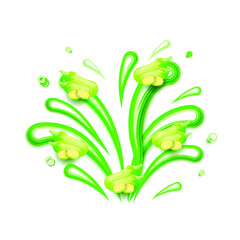 Abstract Paper Cut Ilustration Water Splash Drops Color Green With Squash Background Vector Design Style