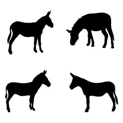 silhouettes of a donkey. black clipart	
