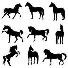 Silhouettes of animals (horses clipart)