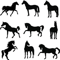 Silhouettes of animals (vector horses clipart )